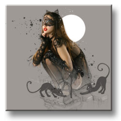 Cat - murciano - collector one