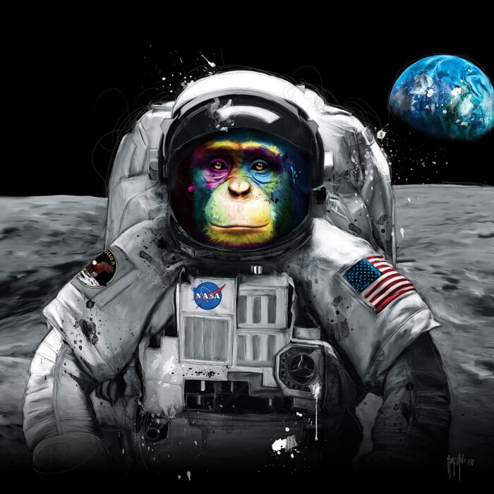 Apollo 11 - Poster PREMIUM authentique de Patrice MURCIANO