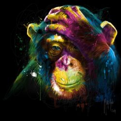 Darwin preoccupations - Poster PREMIUM authentique de Patrice MURCIANO