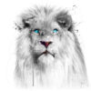 Poster Premium – Lion White