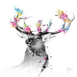 O Hanami - Poster PREMIUM authentique de Patrice MURCIANO