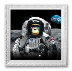 Apollo 11 - murciano - site officiel