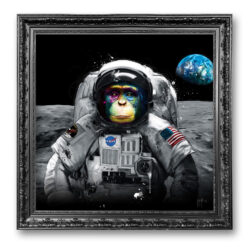 Apollo 11 - murciano - site officiel