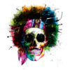 Poster Premium – Hendrix Skull