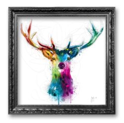 free and wild by murciano