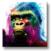 Gorilla – Collection PLEXIGLASS