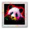 Panda Pop – Collection Wood
