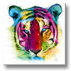 Tiger – Collection CRYSTAL