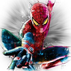 spiderman-toile-peinture-oeuvre-tableau-salon-design-oldschool