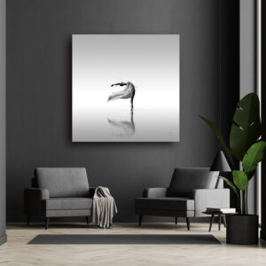 cygne blanc murciano style minimaliste contemporain tableau peinture oeuvre toile