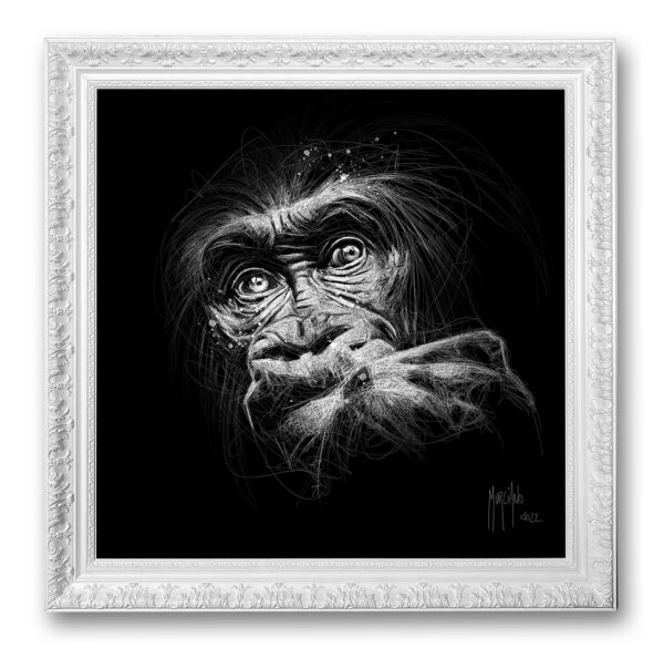 Black Kong Scribble griboullisme toile peinture tableau artiste montpellier