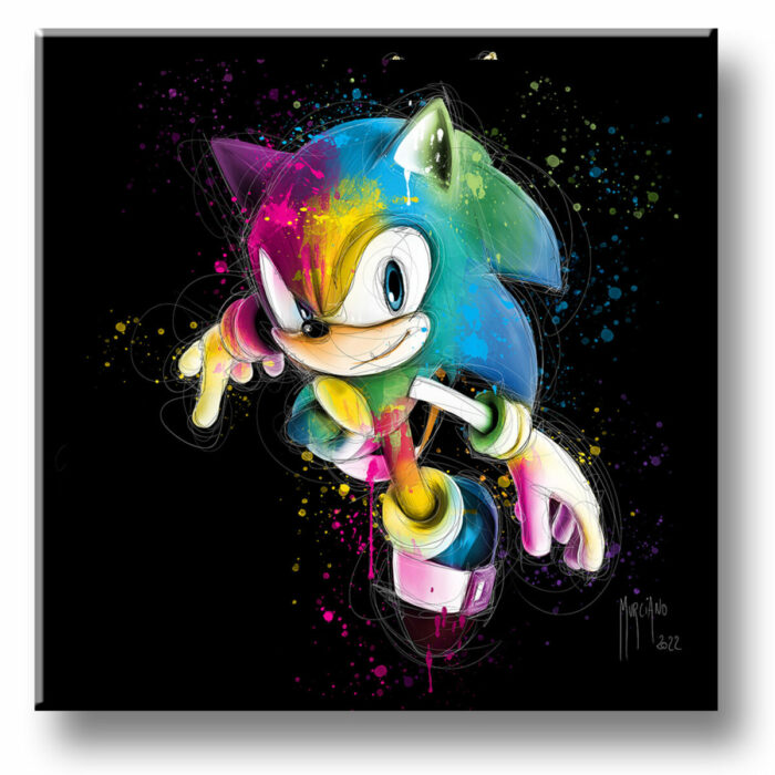 SONIC peinture artiste toile oeuvre montpellier poster tableau