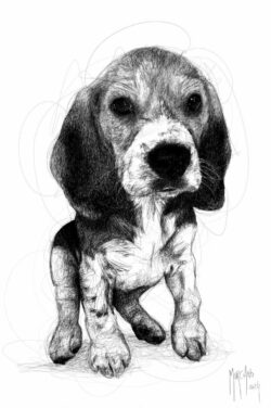 Portrait - Gribouillisme – Image 4