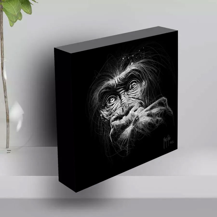 POP Collector – Black Kong Scribble