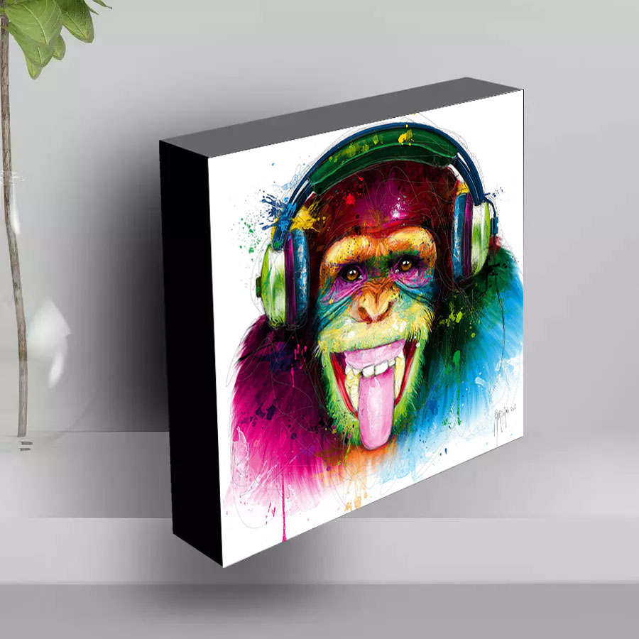 POP Collector – DJ Monkey