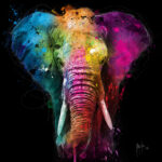 Africa Pop (Fond noir)