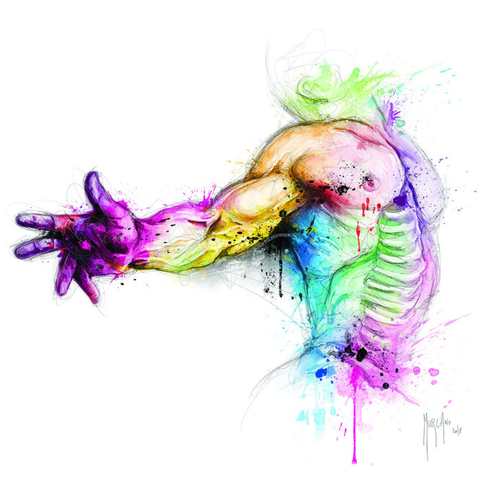 Anatomy