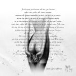 Je t'aime moi non plus