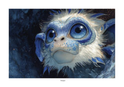 COFFRET NAARU V2 – Image 8