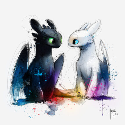 Krokmou et Light Fury